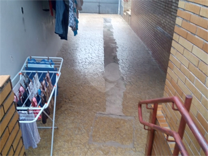 Foto REO692663