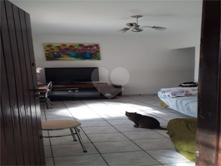 Foto REO692860