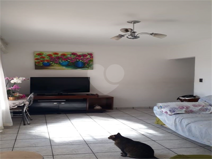 Foto REO692860
