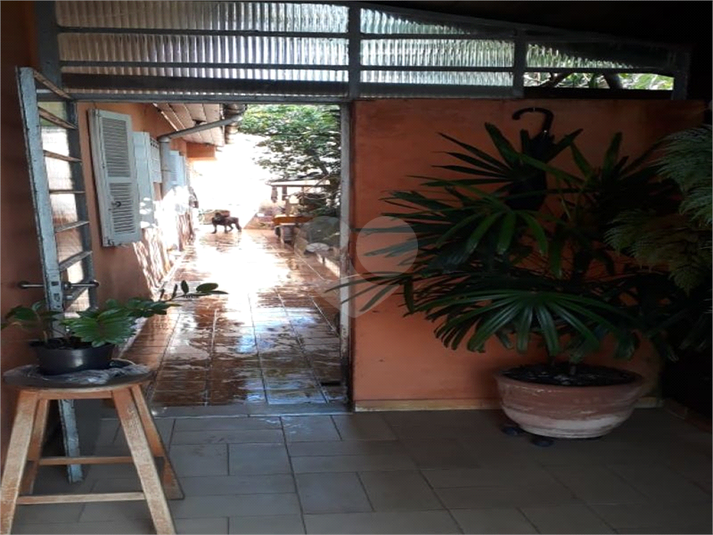 Foto REO692860