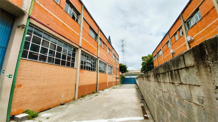 Foto REO693238