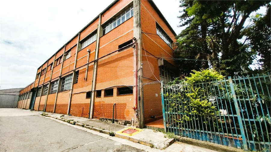 Foto REO693238