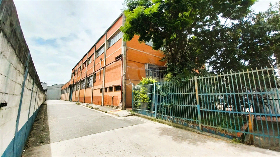 Foto REO693238