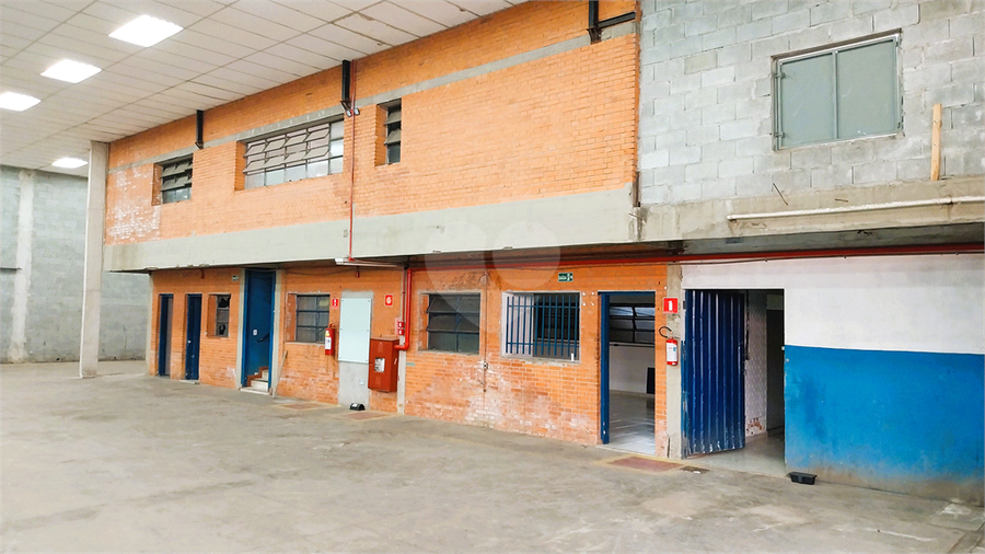 Foto REO693238