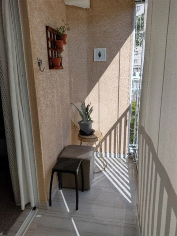 Venda Apartamento São Paulo Jardim Celeste REO693323 7