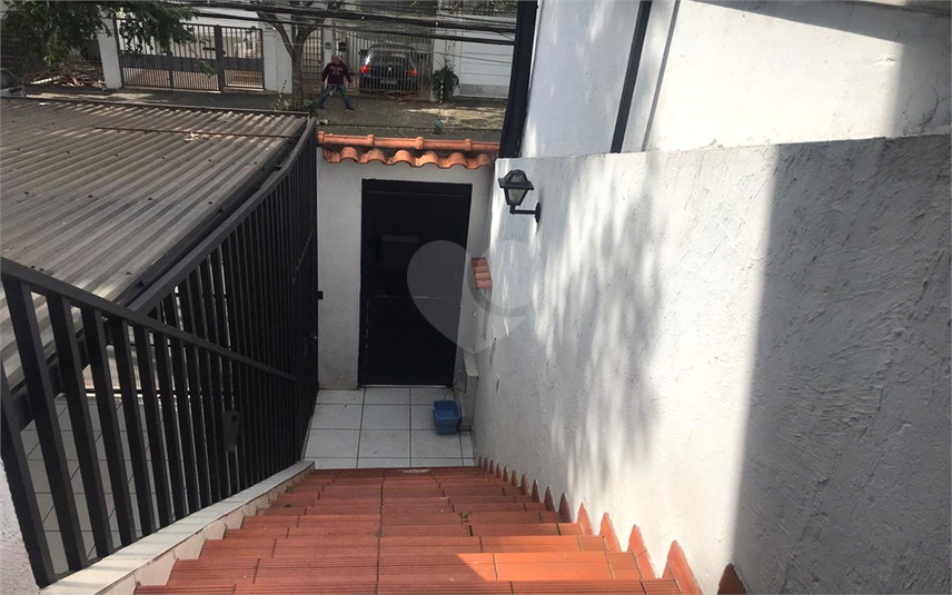 Foto REO693480