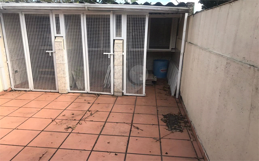 Foto REO693480