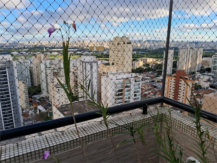 Foto REO693565