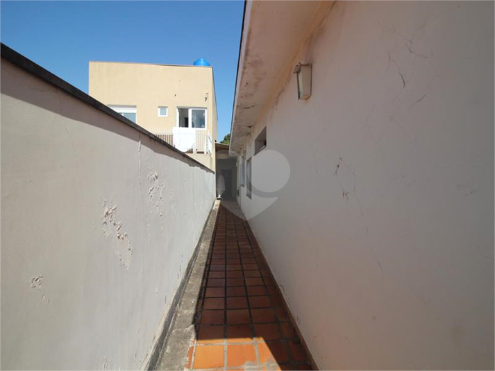 Foto REO694191
