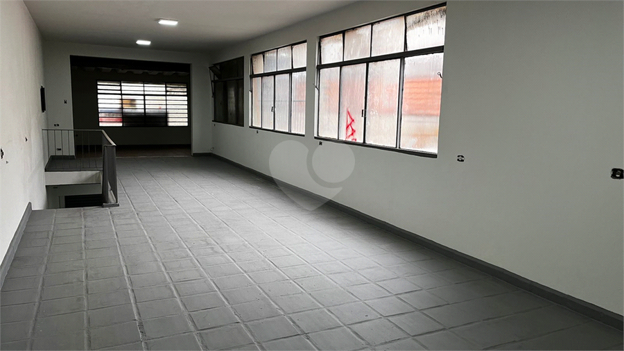 Foto REO694502