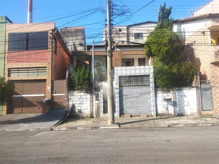 Foto REO695229