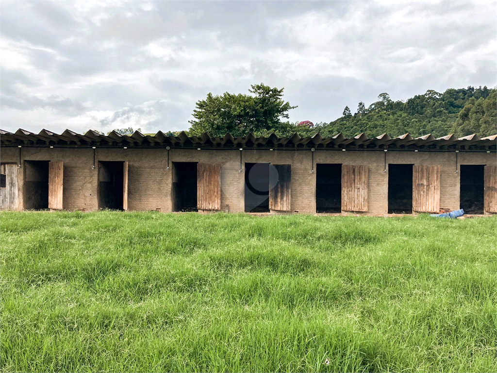 Venda Sítio São João Da Boa Vista Área Rural De São João Da Boa Vista REO695270 32