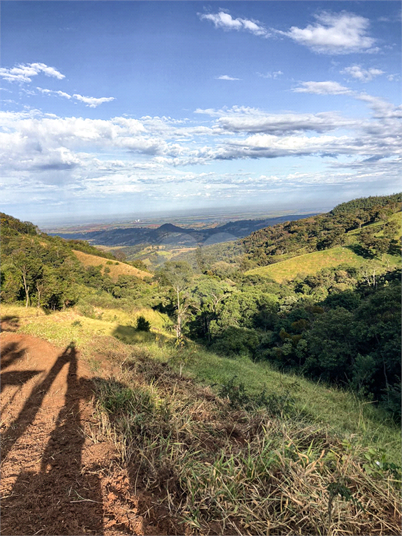 Venda Sítio São João Da Boa Vista Área Rural De São João Da Boa Vista REO695270 4