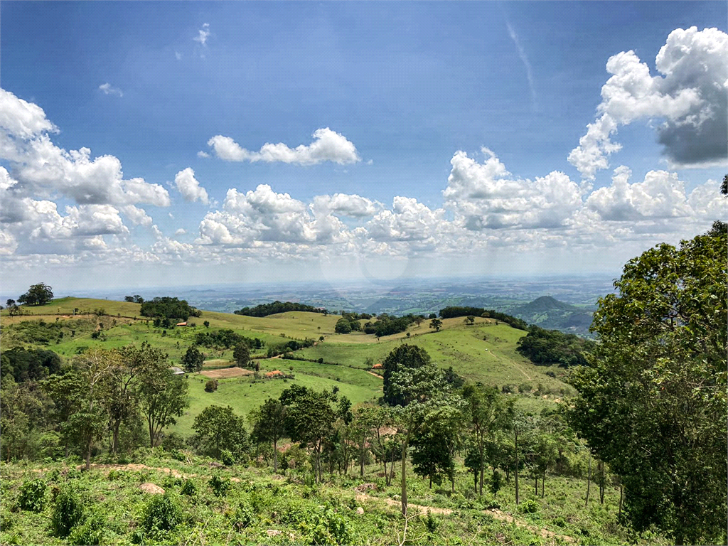 Venda Sítio São João Da Boa Vista Área Rural De São João Da Boa Vista REO695270 11