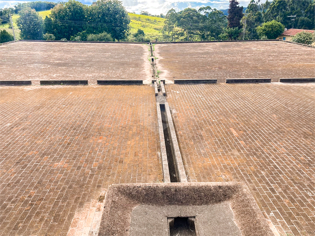 Venda Sítio São João Da Boa Vista Área Rural De São João Da Boa Vista REO695270 2