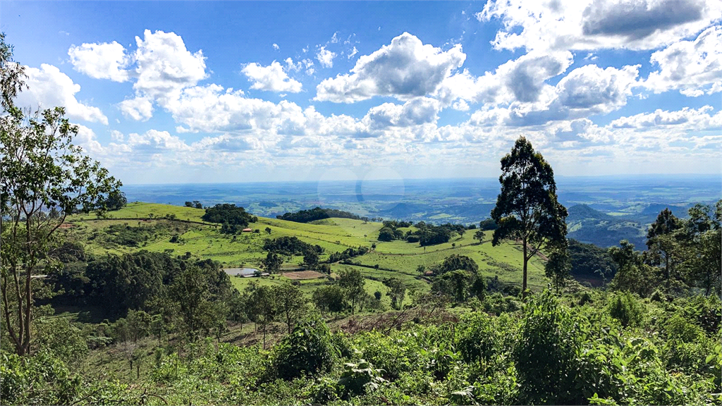 Venda Sítio São João Da Boa Vista Área Rural De São João Da Boa Vista REO695270 10