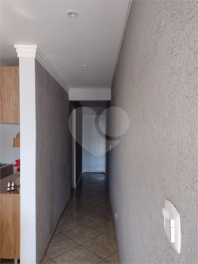 Foto REO695462