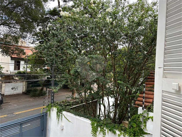 Foto REO695532