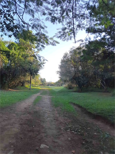 Foto REO695770