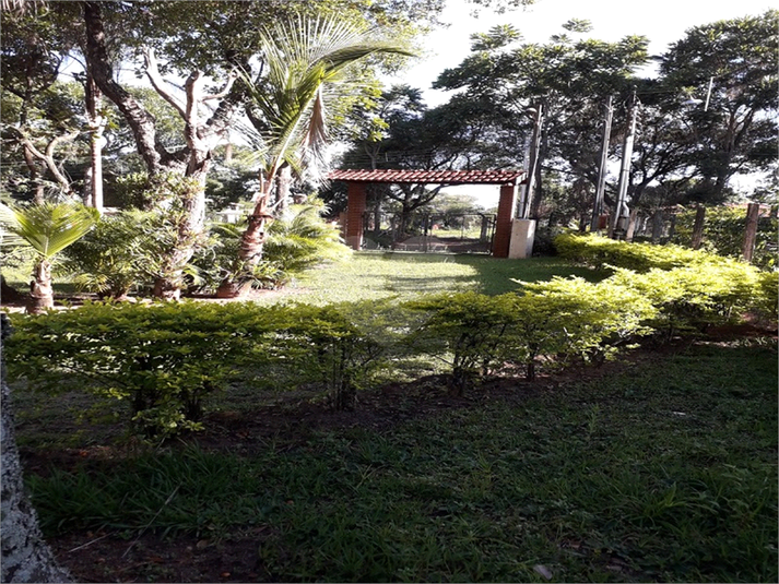Foto REO695788