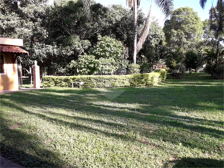 Foto REO695788