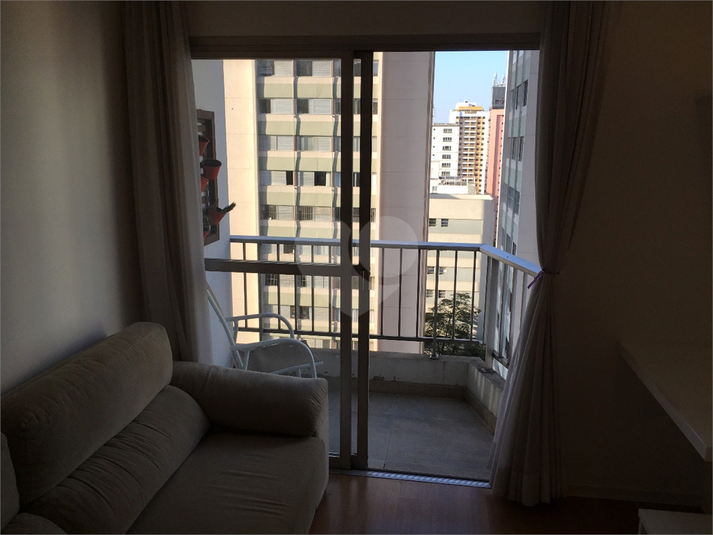Foto REO695974