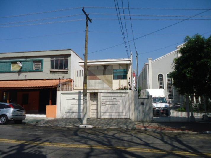 Foto REO69612
