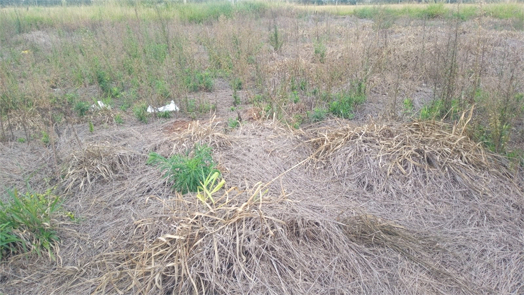 Venda Terreno São Carlos Jardim Do Bosque REO696272 11