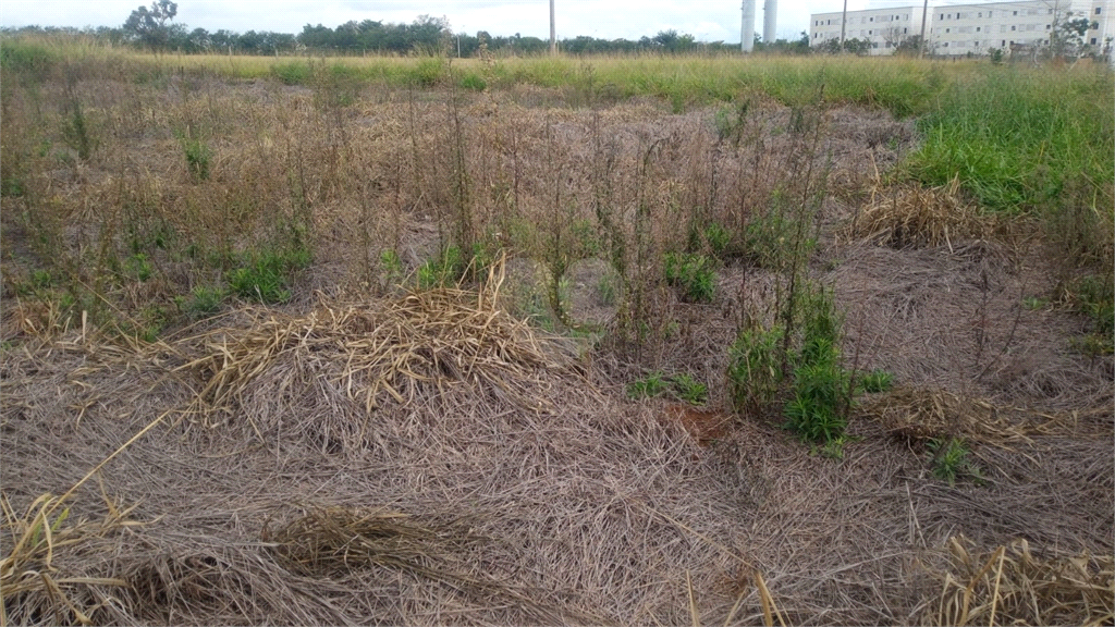 Venda Terreno São Carlos Jardim Do Bosque REO696272 10