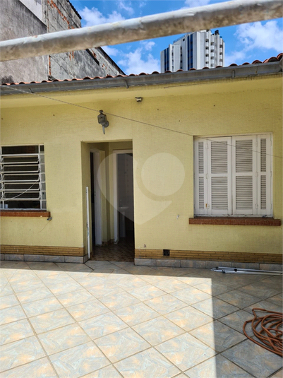 Foto REO696325