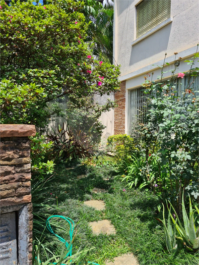 Foto REO696325
