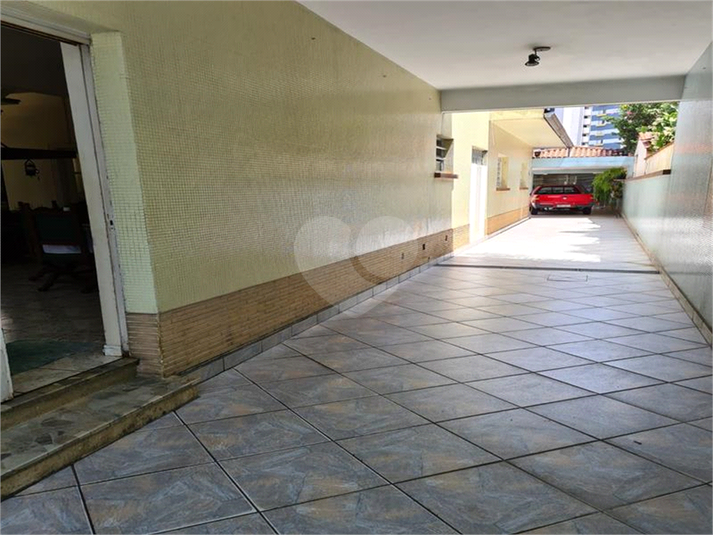 Foto REO696325
