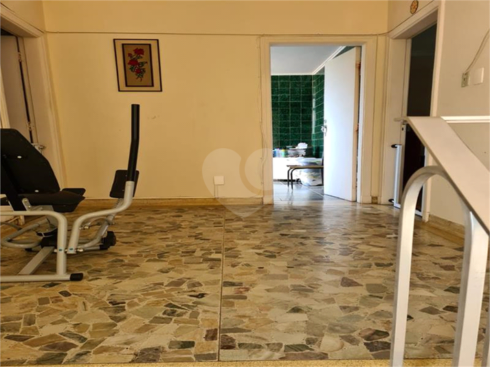 Foto REO696325