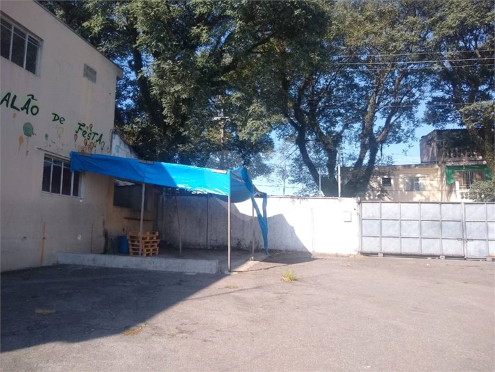 Foto REO696385