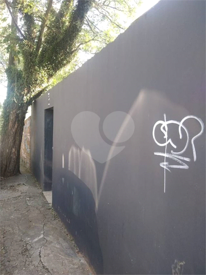 Foto REO696385
