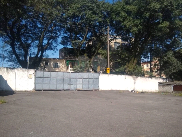 Foto REO696385
