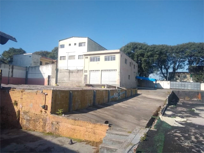 Foto REO696385