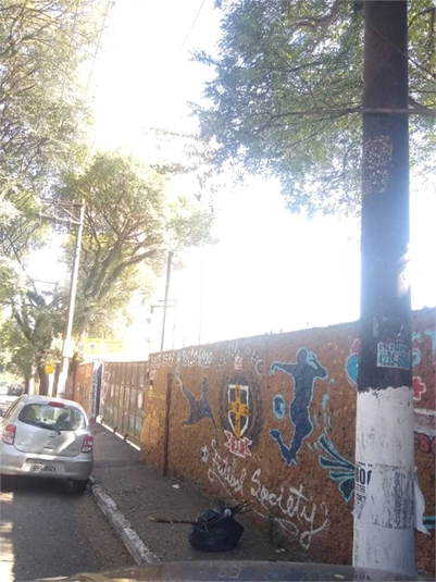 Foto REO696385