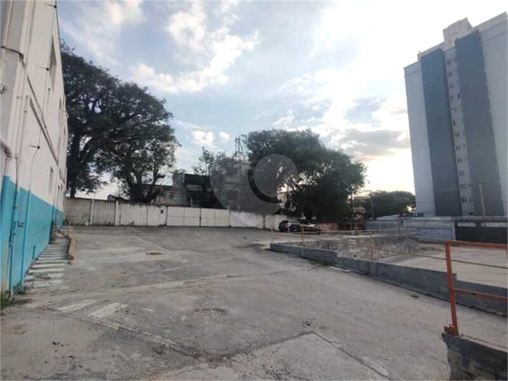 Foto REO696385