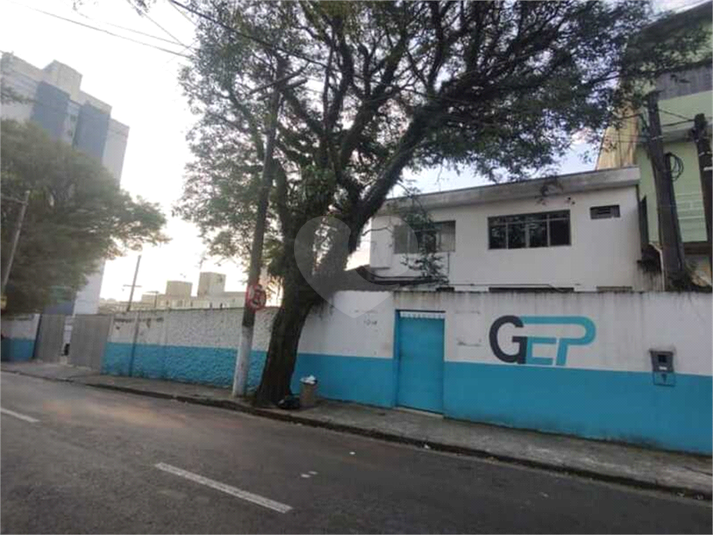Foto REO696385