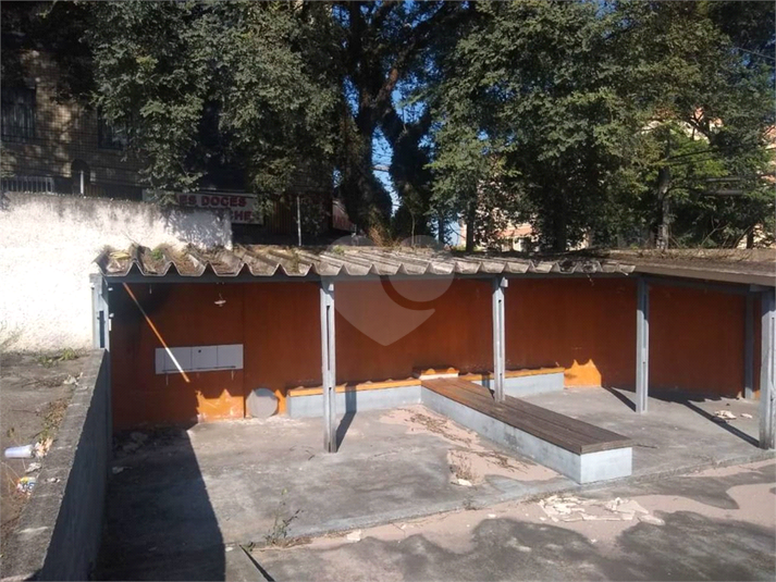 Foto REO696385