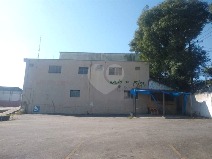 Foto REO696385