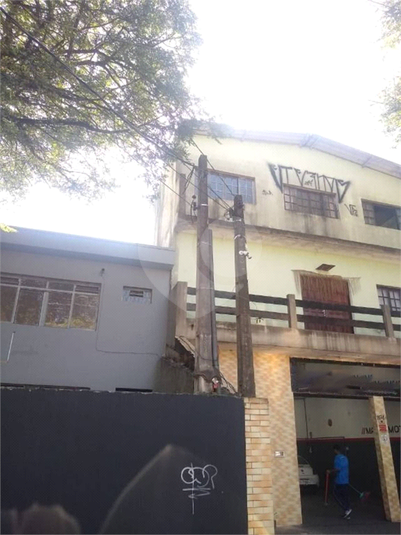 Foto REO696385
