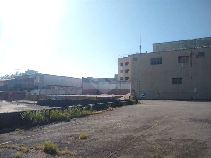 Foto REO696385