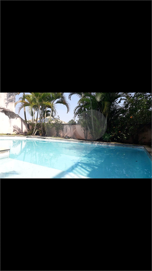 Foto REO696395
