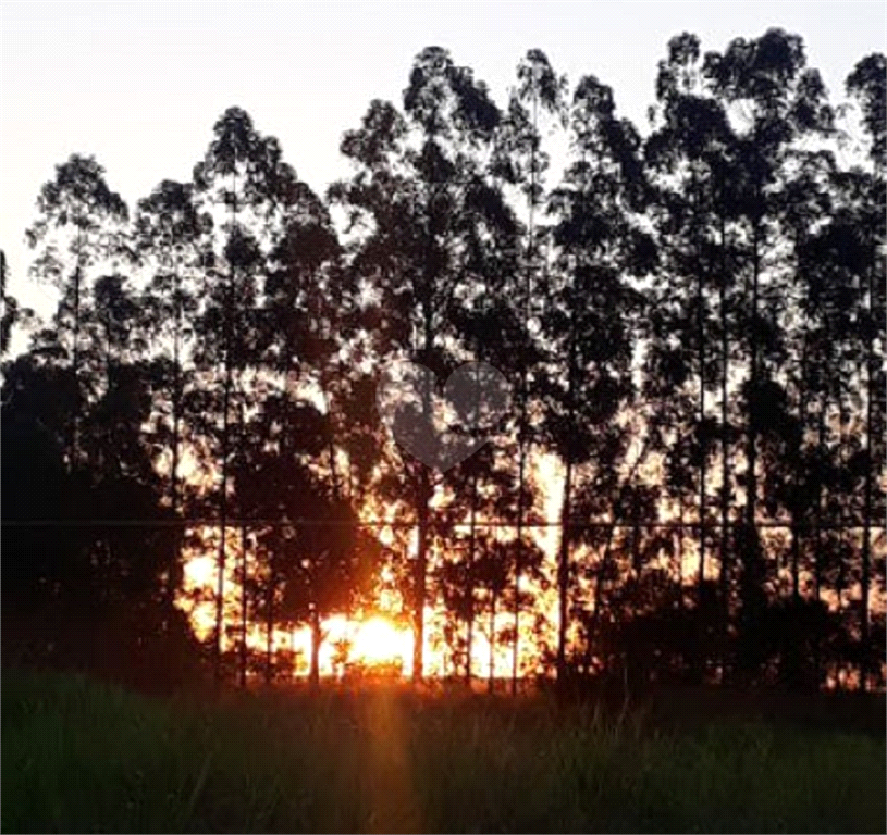 Venda Chácara Campina Do Monte Alegre Centro REO696477 28