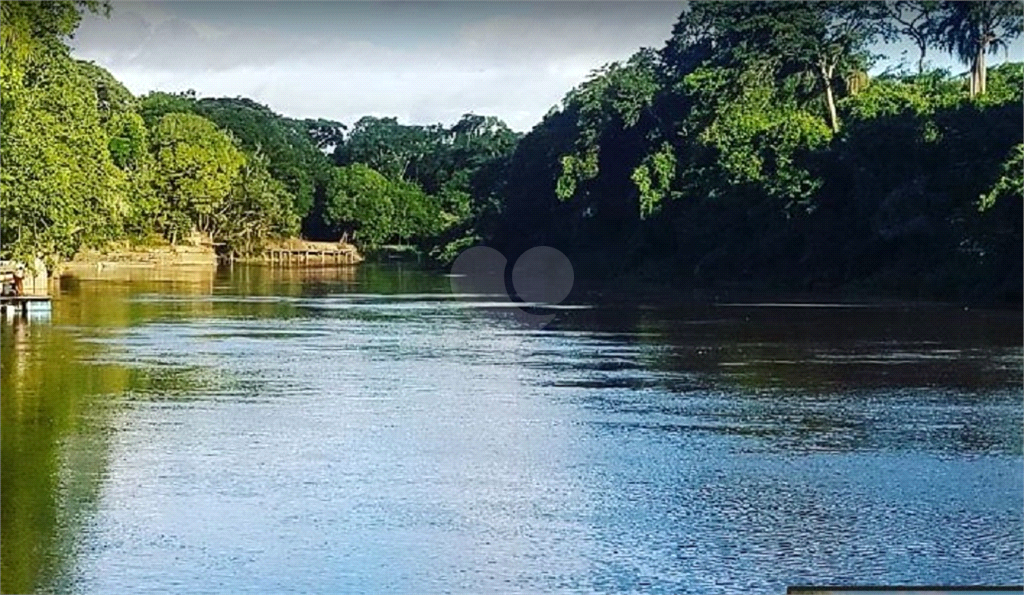 Venda Chácara Campina Do Monte Alegre Centro REO696477 25