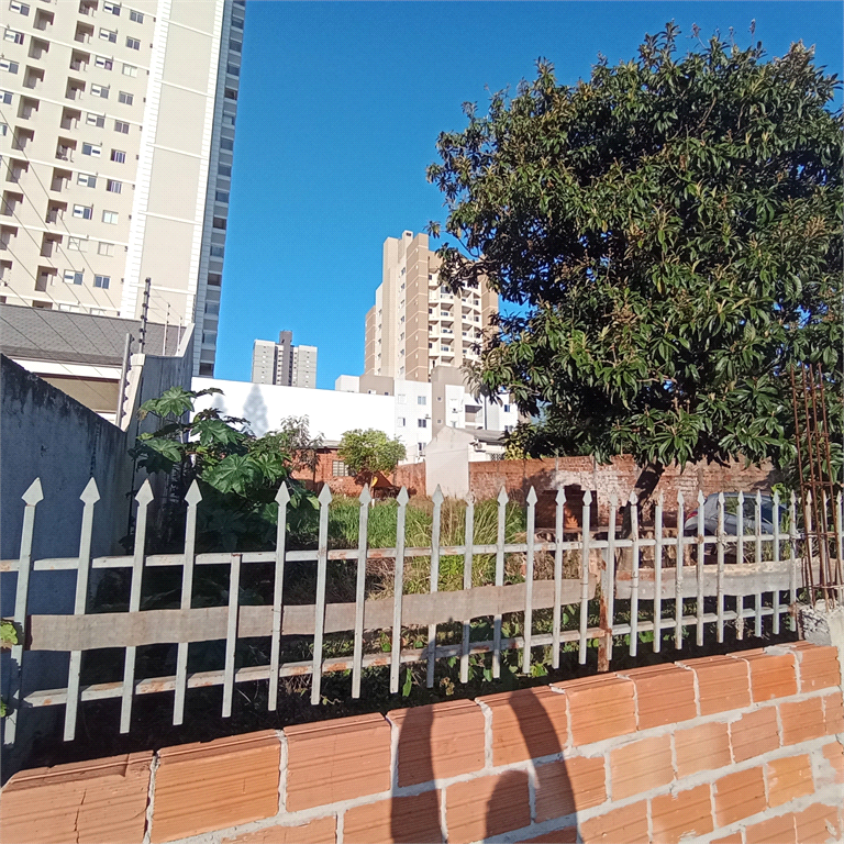 Venda Terreno Cascavel Centro REO696489 8