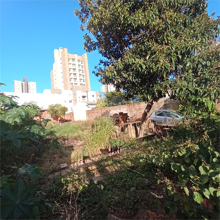 Venda Terreno Cascavel Centro REO696489 10