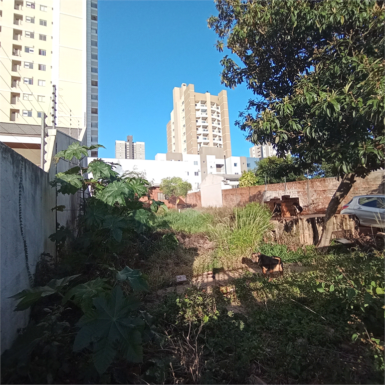 Venda Terreno Cascavel Centro REO696489 11